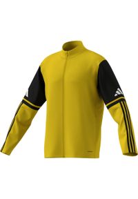 Adidas - Bluza męska adidas Squadra 25 Training. Kolor: żółty, czarny, wielokolorowy #1