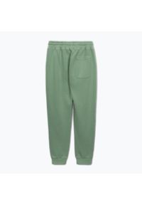 PITBULL - Spodnie męskie Pitbull Lancaster 2 Track Pants. Kolor: zielony