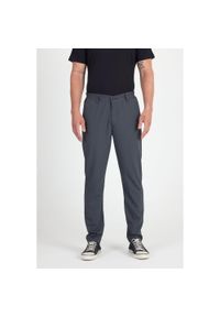 WOOLONA - Spodnie Chino Męskie Merino - Smart & Flex. Kolor: szary. Sport: turystyka piesza