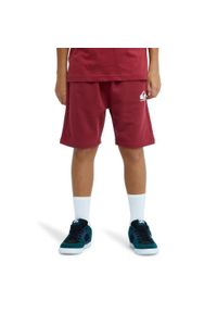 Quiksilver - Spodenki z elastyczną talią dla Chłopcy EASY DAY Czerwony. Kolor: czerwony, wielokolorowy, różowy. Materiał: poliester, bawełna, tkanina. Długość: krótkie. Sezon: lato #1