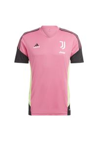 Adidas - Koszulka treningowa Juventus Condivo 2022/23. Kolor: różowy