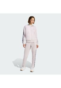 Adidas - Dres 3-Stripes Leopard Print. Kolor: fioletowy, wielokolorowy. Materiał: dresówka. Wzór: nadruk. Sport: fitness #1