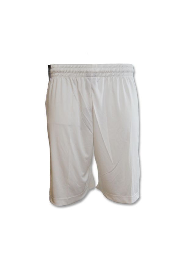 Spodenki Air Jordan Air Dry Knit Shorts. Kolor: biały
