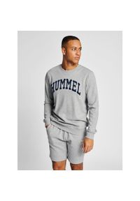 Bluza Hummel Ic Bill. Kolor: szary. Sport: fitness