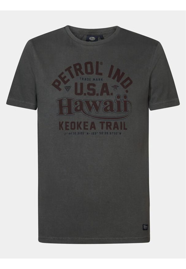 Petrol Industries T-Shirt M-1040-TSR606 Szary Regular Fit. Kolor: szary. Materiał: bawełna