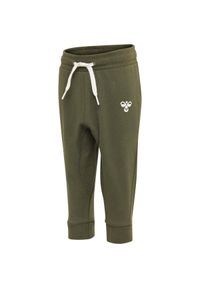 Spodnie dresowe dla dzieci Hummel hmlAPPLE. Kolor: zielony. Materiał: dresówka. Sport: bieganie