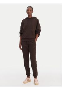 Adidas - adidas Spodnie dresowe Seasonal Essentials Leopard Print KA4720 Brązowy Regular Fit. Kolor: brązowy. Materiał: bawełna. Wzór: nadruk #5