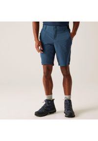 Regatta - Spodenki męskie Eldes. Kolor: niebieski. Materiał: bawełna. Sport: turystyka piesza #1