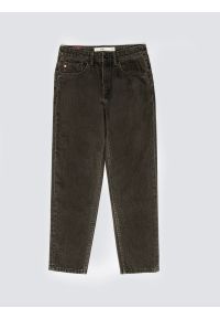 Big-Star - Jeansy męskie z kolekcji Authentic brązowe Ates 888. Kolor: brązowy. Styl: klasyczny