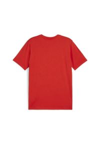 Koszulka męska Puma Team Goal Casuals Tee. Kolor: czerwony. Materiał: materiał