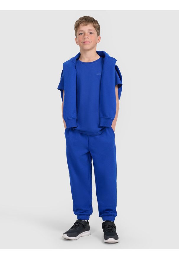 4f - 4F T-shirt regular gładki chłopięcy - niebieski 152 (11-12 lat). Okazja: na co dzień. Kolor: niebieski. Materiał: bawełna, materiał, jersey. Długość rękawa: krótki rękaw. Długość: krótkie. Wzór: gładki. Sezon: lato. Styl: młodzieżowy, klasyczny, casual, sportowy