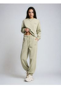 Sinsay - Spodnie jogger z miękkim wnętrzem - niebieski. Kolor: niebieski #1