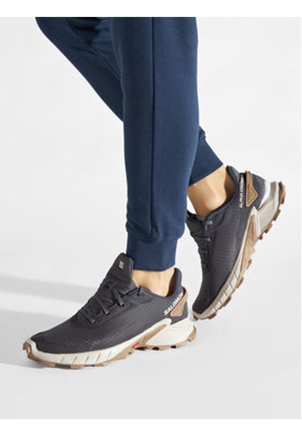 salomon - Salomon Buty do biegania Alphacross 4 417241 29 W0 Szary. Kolor: szary. Materiał: materiał