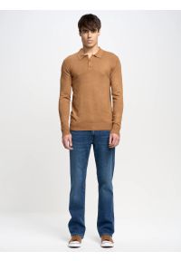 Big-Star - Sweter męski z kołnierzykiem polo brązowy Bradson 802. Okazja: na co dzień. Typ kołnierza: polo. Kolor: brązowy. Materiał: wiskoza. Długość rękawa: długi rękaw. Długość: długie. Styl: sportowy, elegancki, casual #3