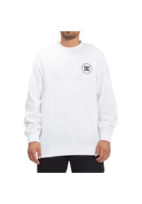 Bluza męskie DC Shoes Star Pilot. Kolor: biały. Materiał: bawełna, materiał. Sport: skateboard #1