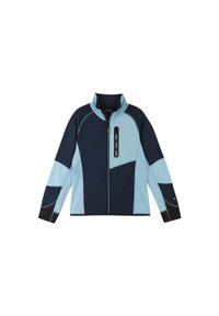Bluza polarowa dla dziewczynki Reima Laskien. Kolor: wielokolorowy, niebieski, szary. Materiał: polar