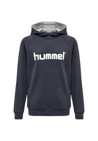 Bluza dziecięca z kapturem Hummel Hmlgo Logo. Typ kołnierza: kaptur. Kolor: brązowy, czarny, szary, wielokolorowy. Sport: fitness