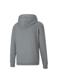 Bluza treningowa męska Puma teamGOAL 23 Causals Hoody. Kolor: czarny, szary, wielokolorowy. Materiał: poliester. Sport: fitness