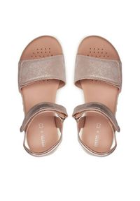 Geox Sandały J Sandal Haiti Girl J028ZA 0MANF C8172 D Różowy. Kolor: różowy