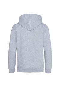 AWDIS - Bluza Dziecięca Heather Organic Hoodie. Kolor: szary