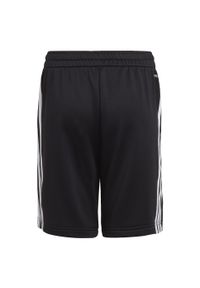 Adidas - Spodenki dziecięce adidas Aeroready Primegreen. Kolor: czarny, biały, wielokolorowy. Sport: bieganie