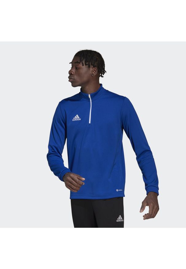 Adidas - Bluza piłkarska męska adidas Entrada 22 Training Top. Kolor: niebieski, biały, wielokolorowy. Sport: piłka nożna