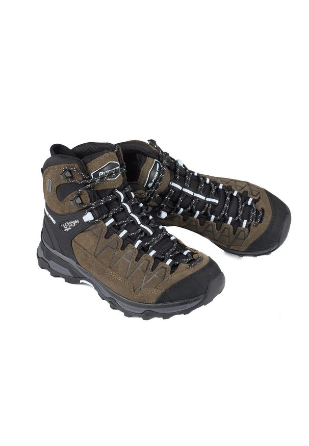ALPINE PRO - Buty trekkingowe Alpine Pro Vete skórzane. Kolor: brązowy. Materiał: skóra