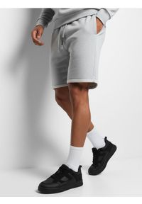 Sinsay - Szorty slim fit - szary. Kolor: szary