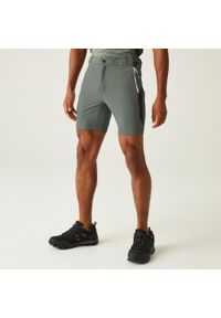 Regatta - Spodenki Mountain Shorts II. Kolor: zielony. Materiał: materiał, tkanina. Sport: turystyka piesza #1