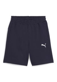 Szorty dla dzieci Puma TeamGOAL Casuals. Kolor: niebieski. Styl: sportowy #1