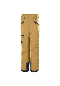 Dziecięce spodnie narciarskie Helly Hansen Elements. Kolor: brązowy. Sezon: zima. Sport: narciarstwo #1
