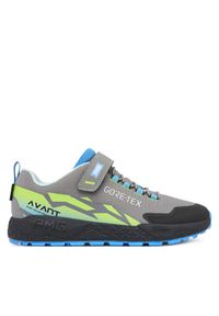 Sneakersy Primigi. Kolor: szary. Technologia: Gore-Tex