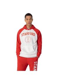 Bluza sportowa męska Champion Stanford University Hooded Sweatshirt. Typ kołnierza: kaptur. Kolor: czerwony, wielokolorowy #1