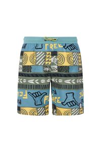 Spodenki kąpielowe dla dzieci Protest Ronald. Kolor: zielony, niebieski, wielokolorowy #1