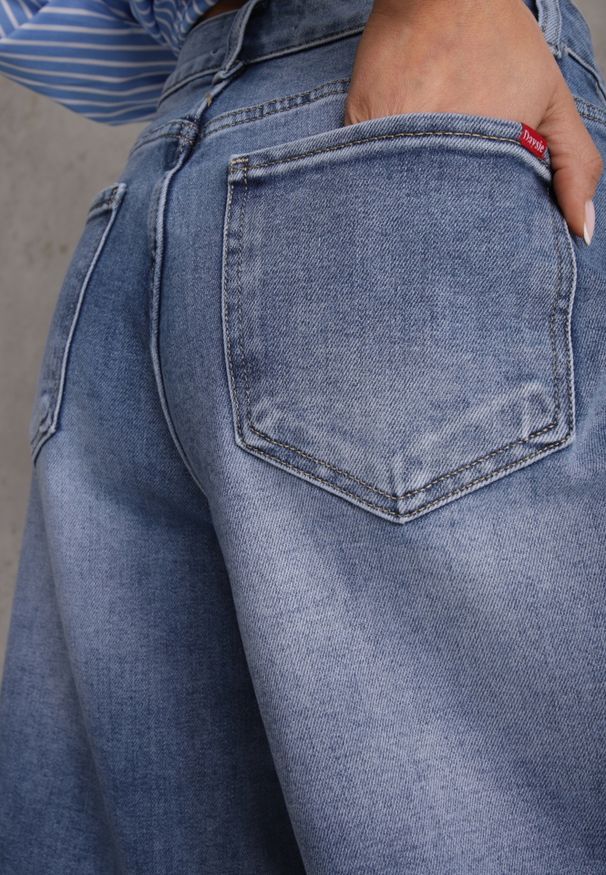 Renee - Niebieskie Szorty Jeansowe z Bawełny Jorts High Waist Sirenora. Okazja: na imprezę, na co dzień. Stan: podwyższony. Kolekcja: plus size. Kolor: niebieski. Materiał: jeans, bawełna. Sezon: lato. Styl: casual
