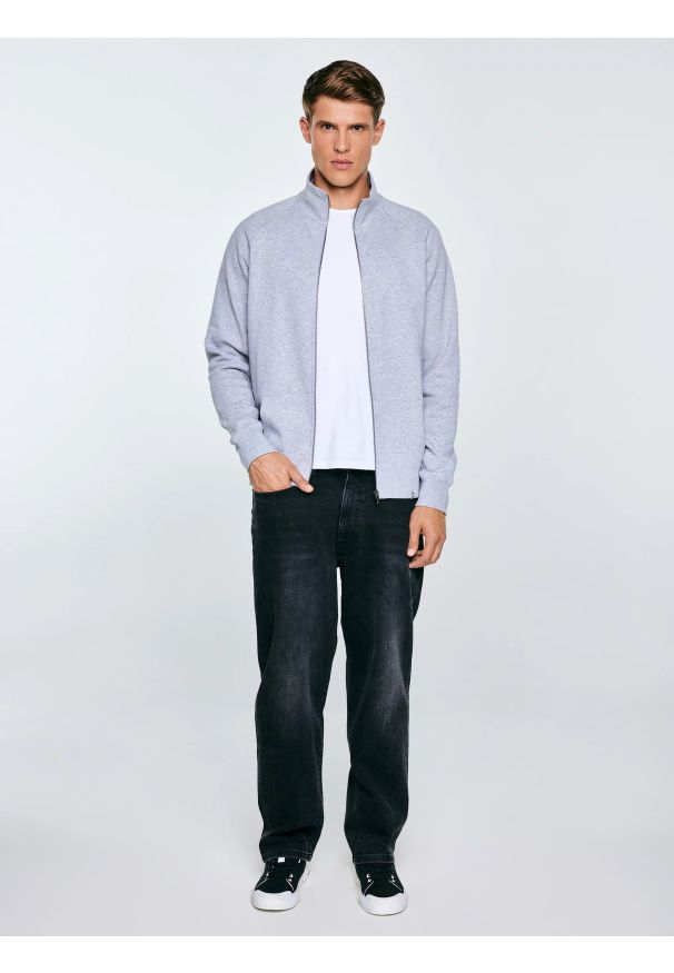 Big-Star - Bluza męska rozpinana szara Madorol 901. Kolor: szary. Wzór: gładki