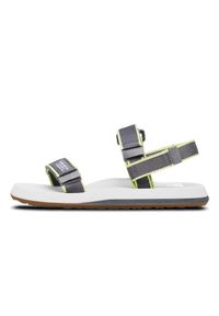 Quiksilver - Sandały dla Chłopcy MONKEY CAGED. Kolor: szary. Materiał: guma. Sezon: lato