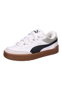 Puma - Buty męskie PUMA Park Lifestyle SK8. Kolor: szary, biały, wielokolorowy. Sport: turystyka piesza