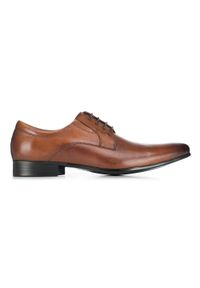 Wittchen - Męskie buty derby ze skóry z elastycznymi wstawkami. Okazja: na co dzień. Kolor: brązowy. Materiał: skóra. Styl: klasyczny, casual, elegancki #3