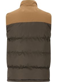 Kurtka puchowa bez rękawów Whistler Jokub. Kolor: wielokolorowy, brązowy, zielony. Materiał: puch. Długość rękawa: bez rękawów #2