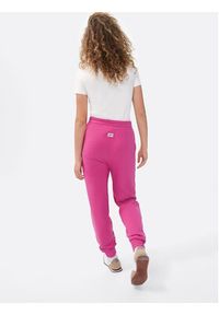 Sprandi Spodnie dresowe SP22-SPD102 Różowy Relaxed Fit. Kolor: różowy. Materiał: dresówka, bawełna #6