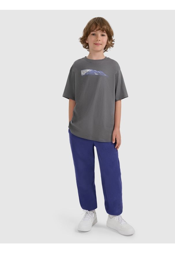 4f - 4F T-shirt oversize z nadrukiem chłopięcy - szary 164 (13-14 lat). Okazja: na co dzień, na uczelnię. Kolor: szary. Materiał: dzianina, materiał, dresówka, bawełna, skóra, jeans. Wzór: nadruk. Sezon: lato. Styl: casual