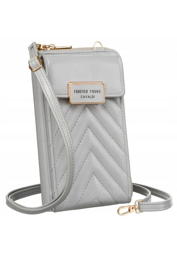 4U CAVALDI - Listonoszka portfel 4U Cavaldi M-10 szara. Kolor: szary. Materiał: skóra ekologiczna