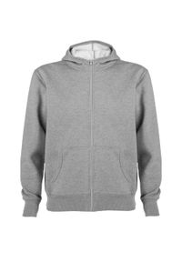 ROLY - Bluza Z Kapturem Dla Dorosłych Unisex Montblanc Z Pełnym Zamkiem Błyskawicznym. Typ kołnierza: kaptur. Kolor: szary