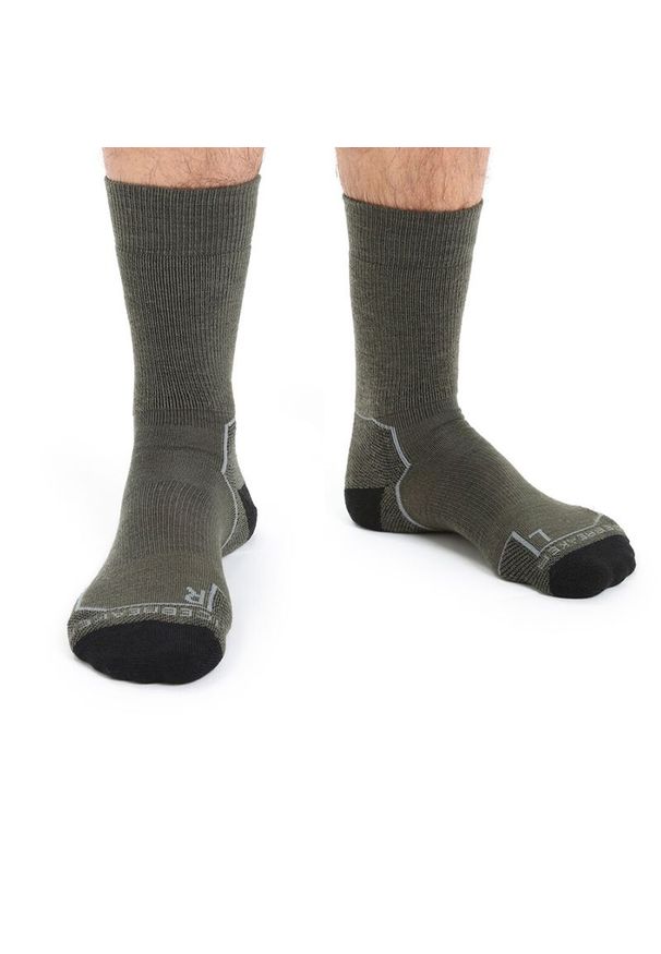 Skarpety Icebreaker Merino Hike+ Medium Crew 1051012821 - zielone. Kolor: zielony. Materiał: lycra, materiał, nylon, wełna. Wzór: aplikacja. Sport: outdoor, wspinaczka