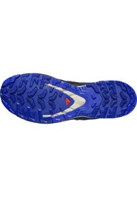 salomon - Buty do biegów w terenie męskie SALOMON XA PRO 3D V9 GTX. Kolor: niebieski. Technologia: Gore-Tex. Sport: bieganie #8