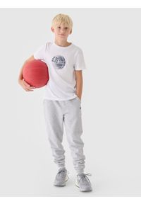 4f - 4F T-shirt z nadrukiem chłopięcy - biały 152 (11-12 lat). Okazja: na co dzień. Kolor: biały. Materiał: bawełna, jersey, dzianina. Długość rękawa: krótki rękaw. Długość: krótkie. Wzór: nadruk. Sezon: lato. Styl: sportowy, klasyczny, casual