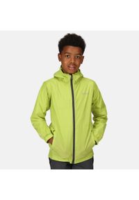 Regatta - Dziecięca kurtka trekkingowa kieszonkowa Pack It Jacket III. Kolor: zielony. Materiał: poliamid. Sport: turystyka piesza #1