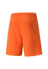 Puma - Męskie Spodenki Dresowe TeamRISE. Kolor: pomarańczowy, żółty, wielokolorowy. Materiał: dresówka