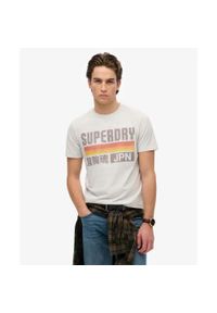 Koszulka Superdry Japan Stripe Relaxed. Kolor: szary #1